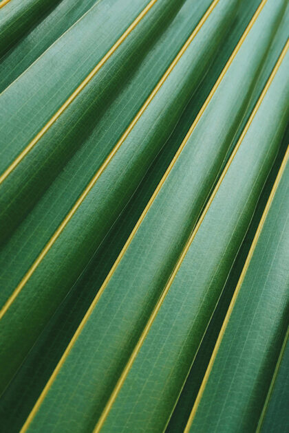 Чувствительная кожа